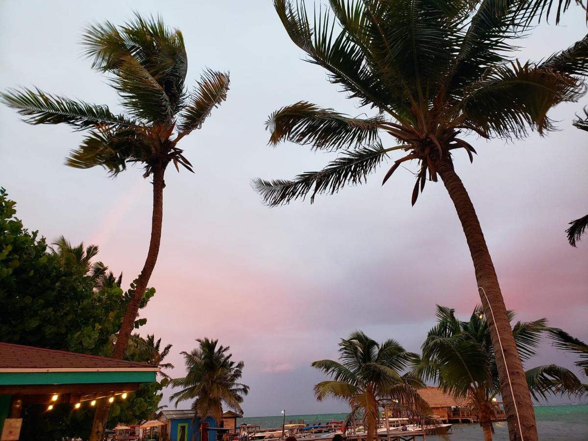 Ocean Tide Beach Resort San Pedro (Ambergris Caye) Exterior foto